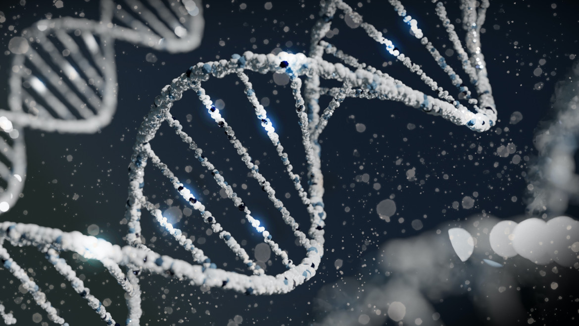 DNA.  Photo: Unsplash