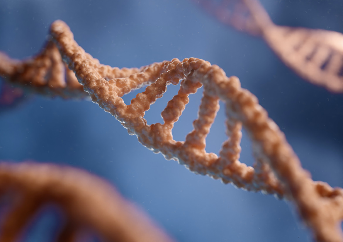 ADN en 3D. Foto: Unsplash