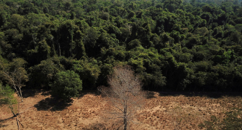 Deforestación en el Amazonía. Foto: Reuters