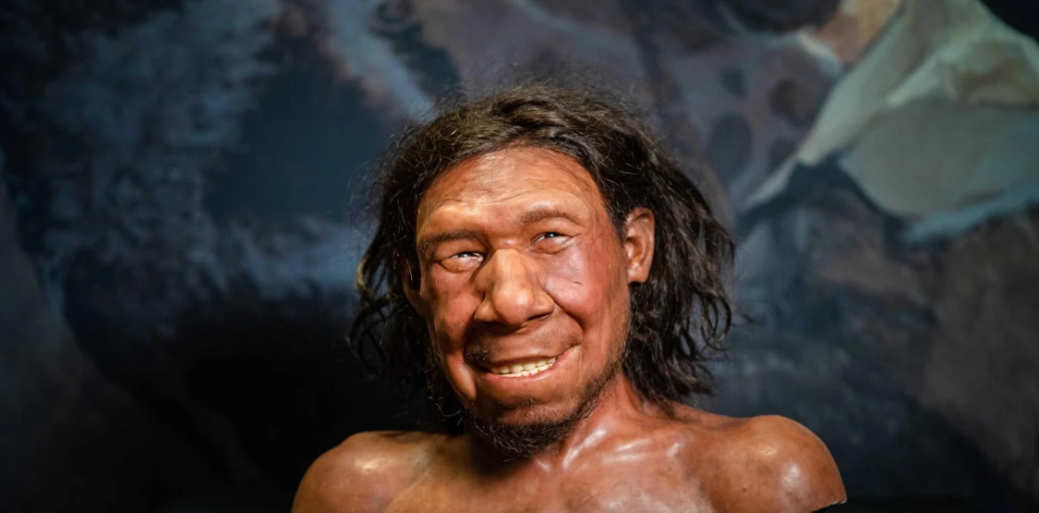 La reconstrucción del rostro de un neandertal. Foto: EFE