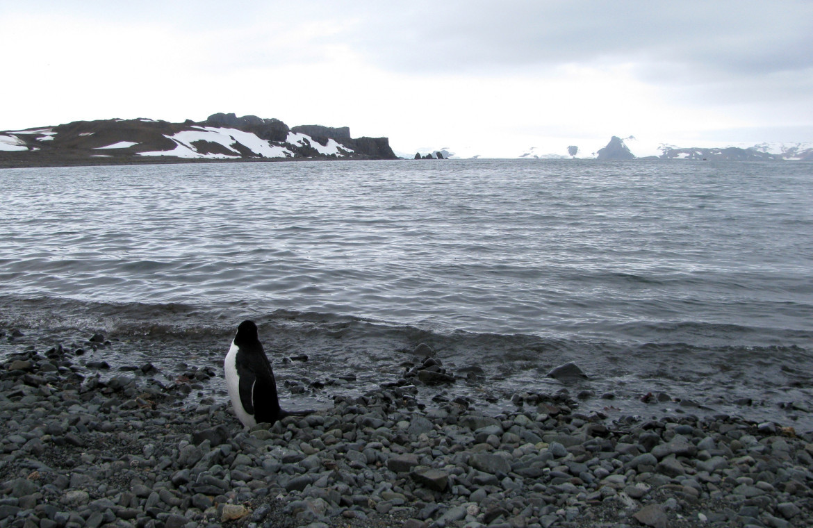 Antártida. Foto: Reuters
