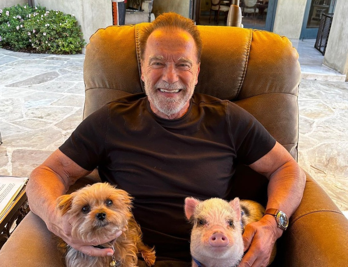Arnold Schwarzenegger junto a sus mascotas. Foto: Instagram @schwarzenegger.