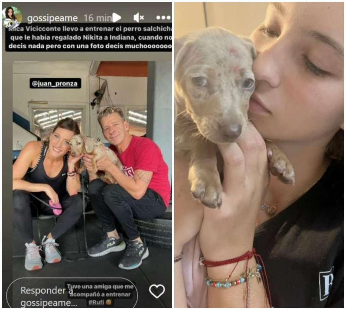 La publicación de Mica Viciconte con Rufi, el perro salchicha que le regaló Nicole Neumann a Indiana. Foto: Instagrams.