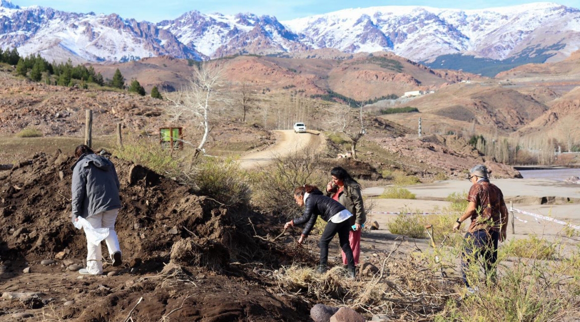 Restos arqueológicos en Neuquén. Foto: lmneuquen