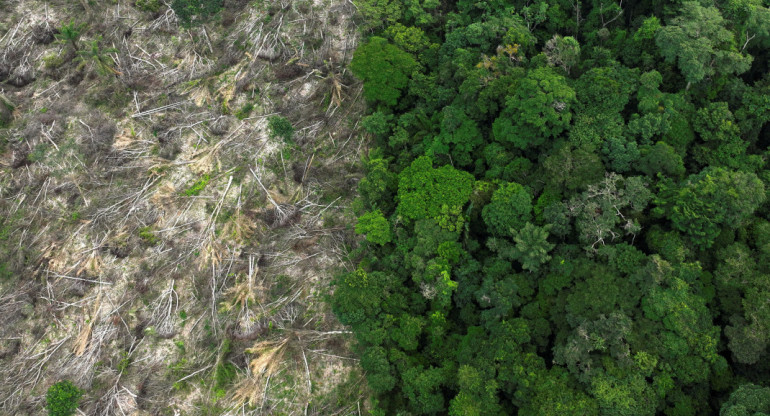 Deforestación cerca de Uruara, estado de Pará, en la Amazonía brasileña. Reuters