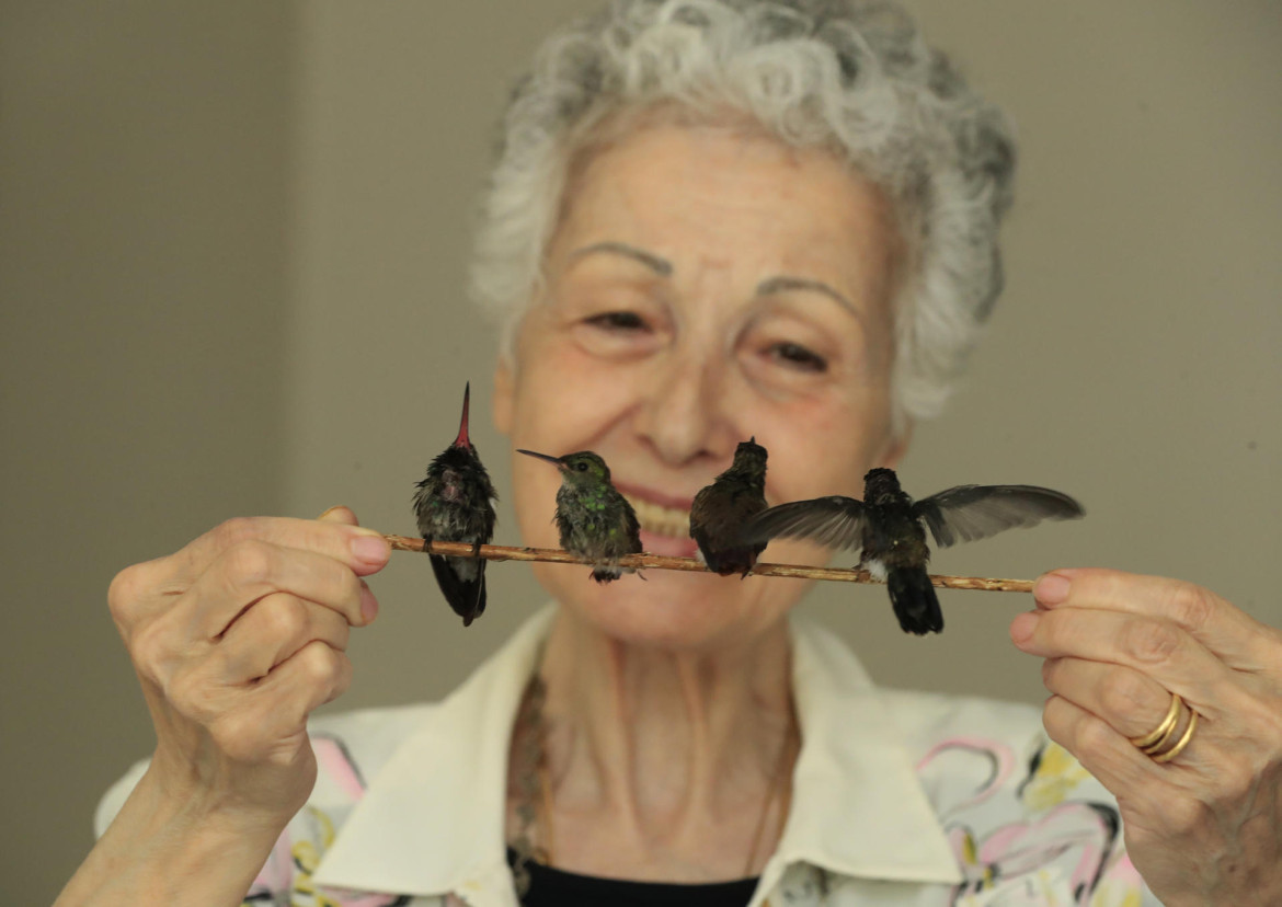 Mujer mexicana creo un hospital de colibríes. Foto: EFE