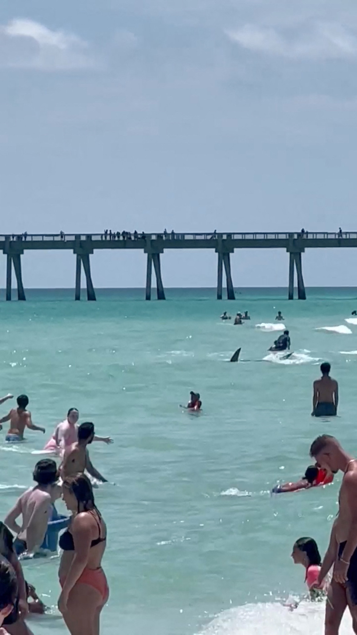 Tiburón en las costas de Florida. Foto: Reuters.