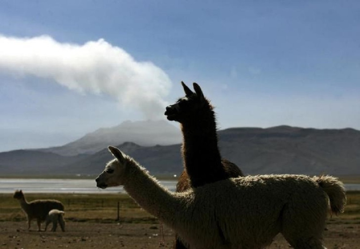 Volcán Ubinas en Perú. Foto: Reuters.