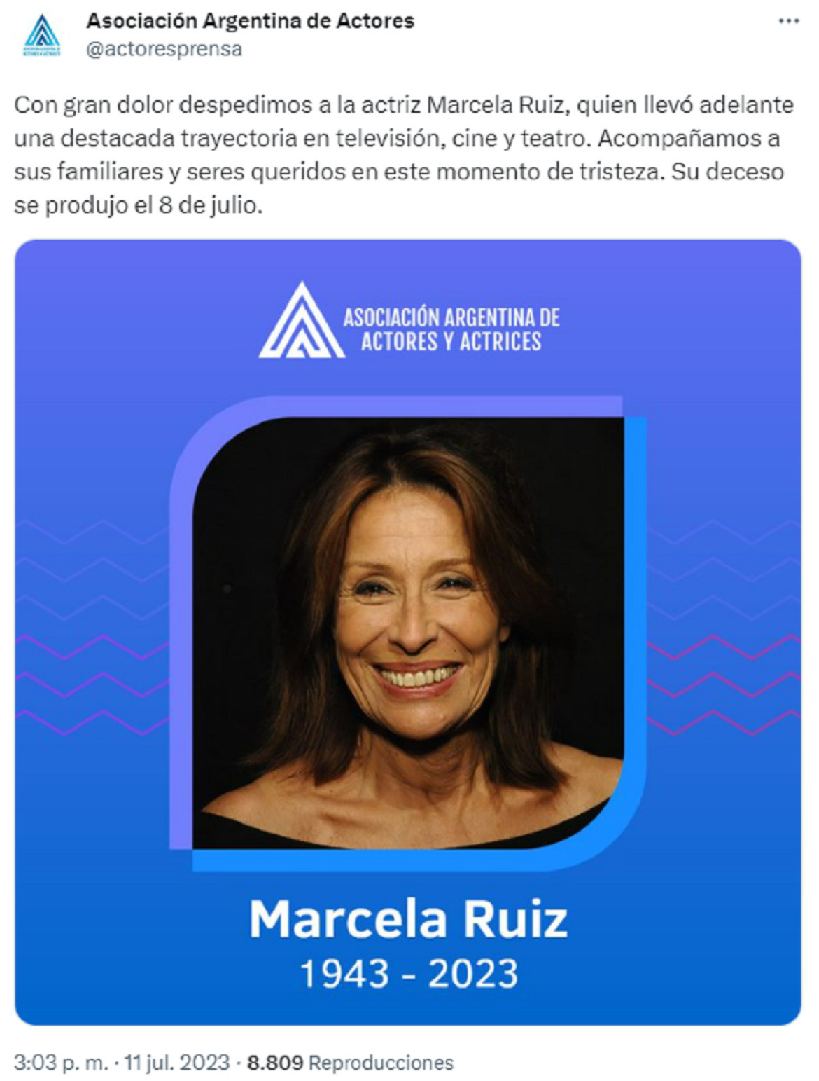 El comunicado de la Asociación Argentina de Actores. Foto: Twitter.