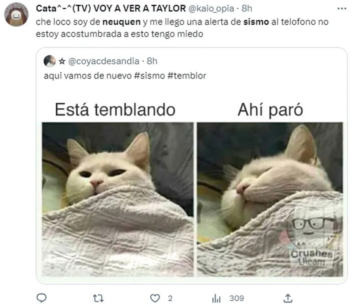 Memes del sismo en Neuquén. Fuente: Twitter.
