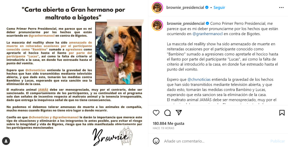 La mascota presidencial chilena lanzó un comunicado por el maltrato animal en Gran Hermano Chile. Foto: Instagram.
