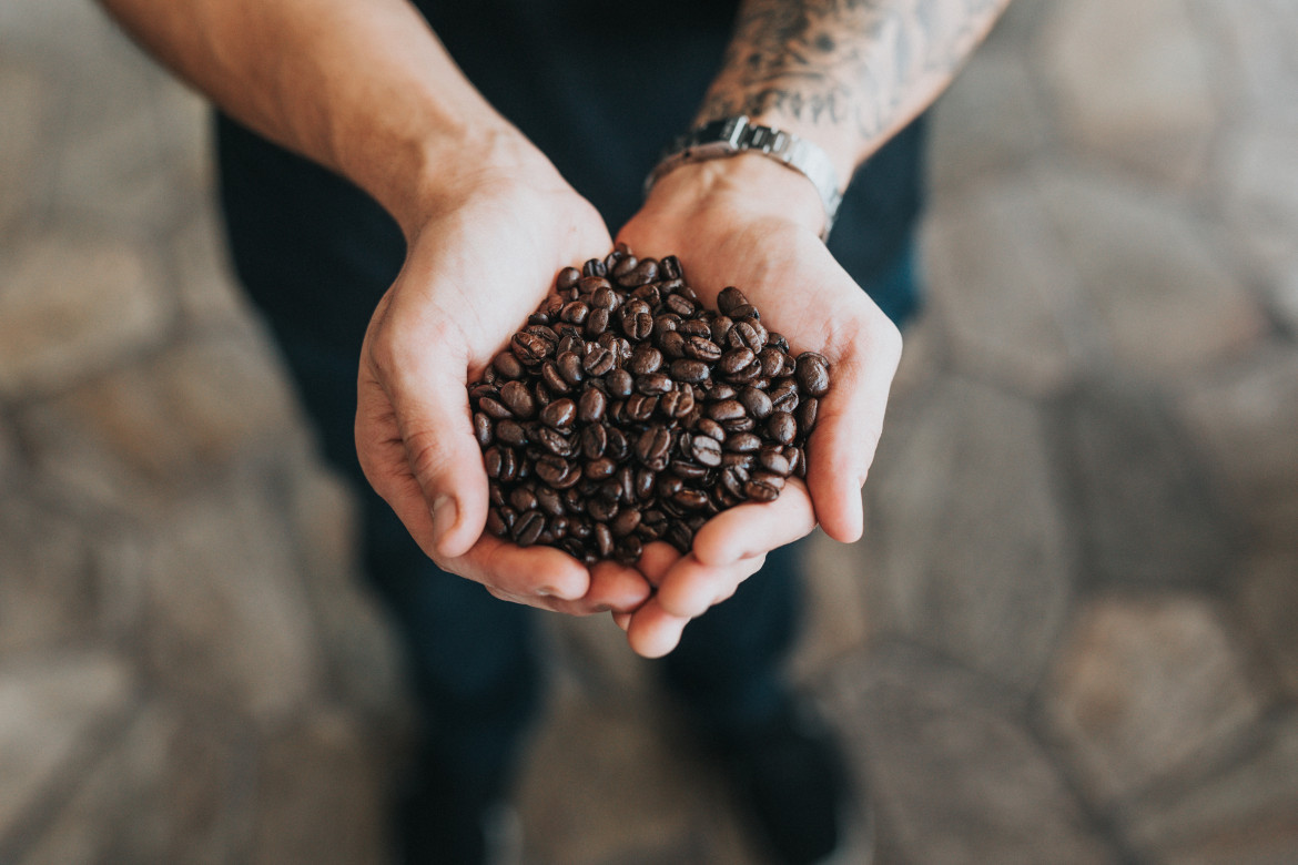 Granos de café. Foto: Unsplash.