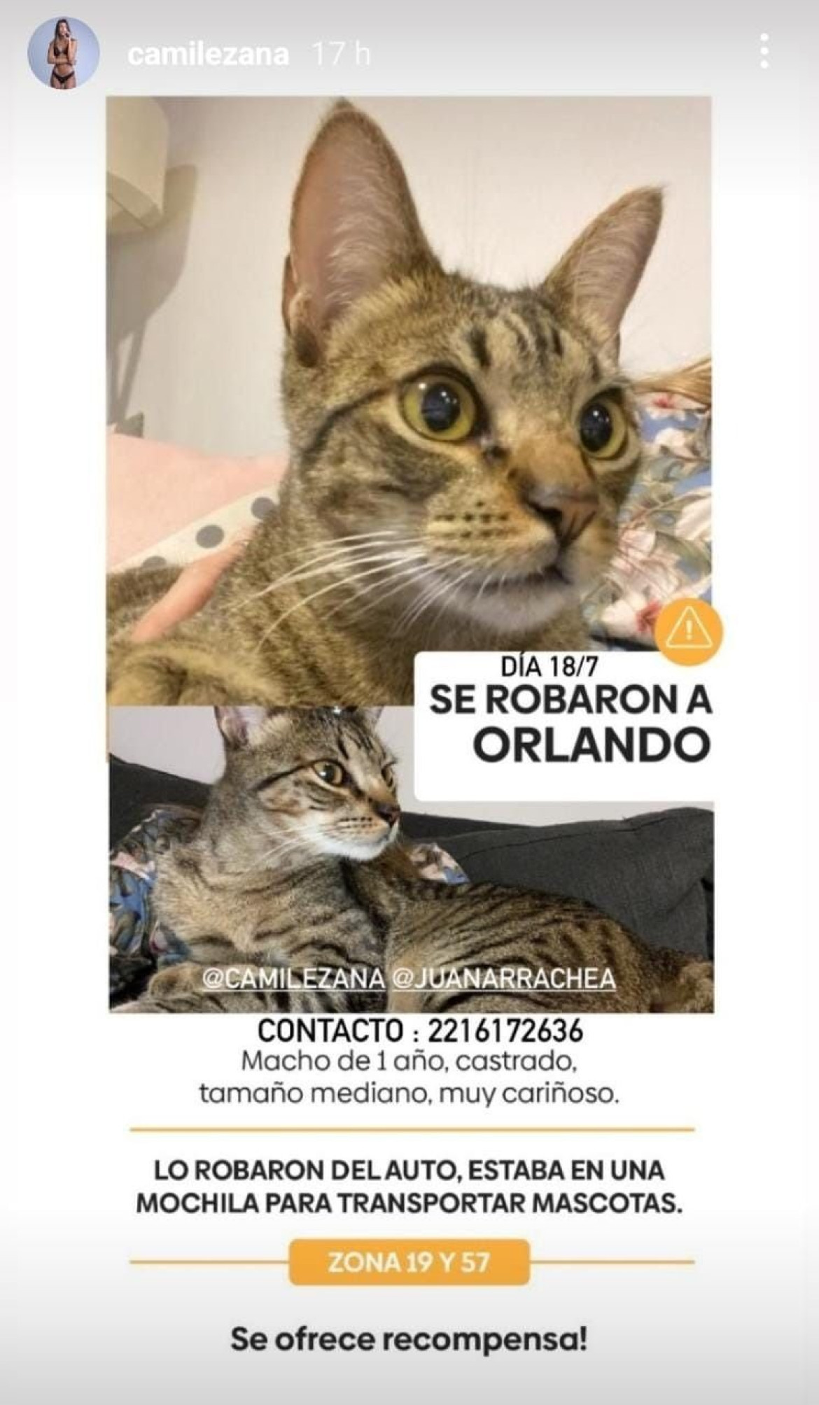 Orlando fue robado hace unos días en La Plata. Foto: Instagram @camilezana.