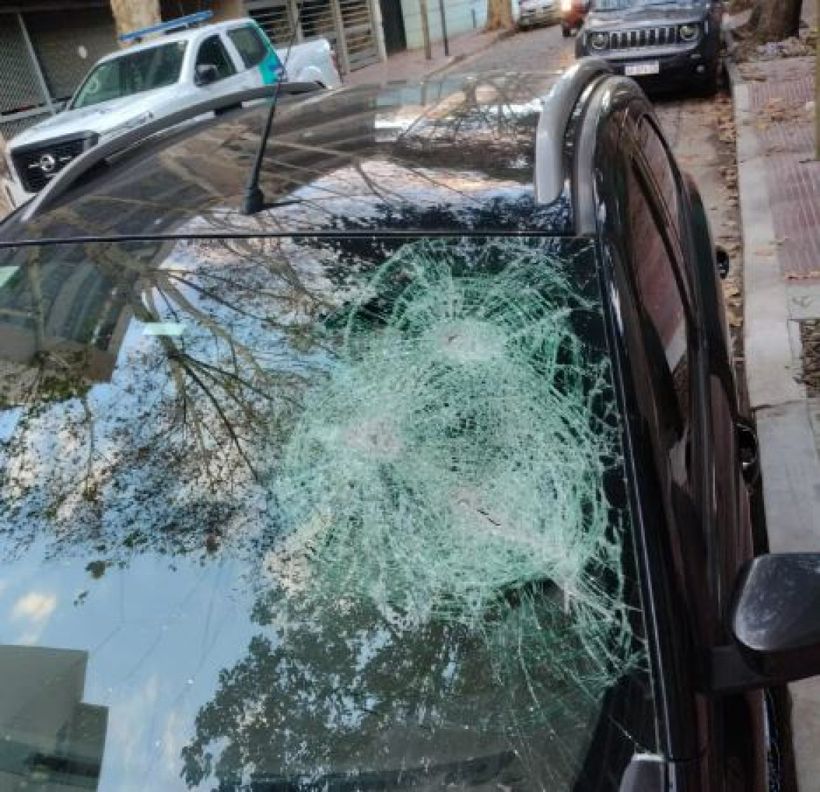 El parabrisas destrozado después del ataque a hachazos en San Fernando. Foto: Policía Bonaerense.