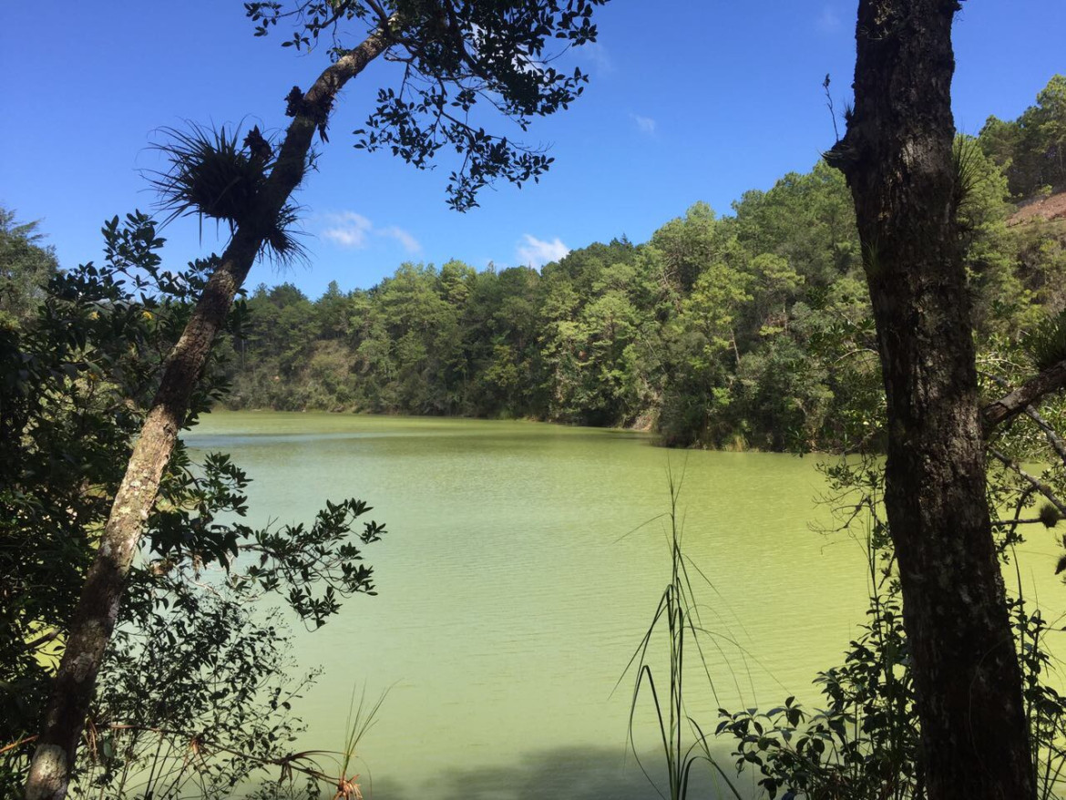 Lagunas de Montebello. Foto: Twitter/4CNewsMx