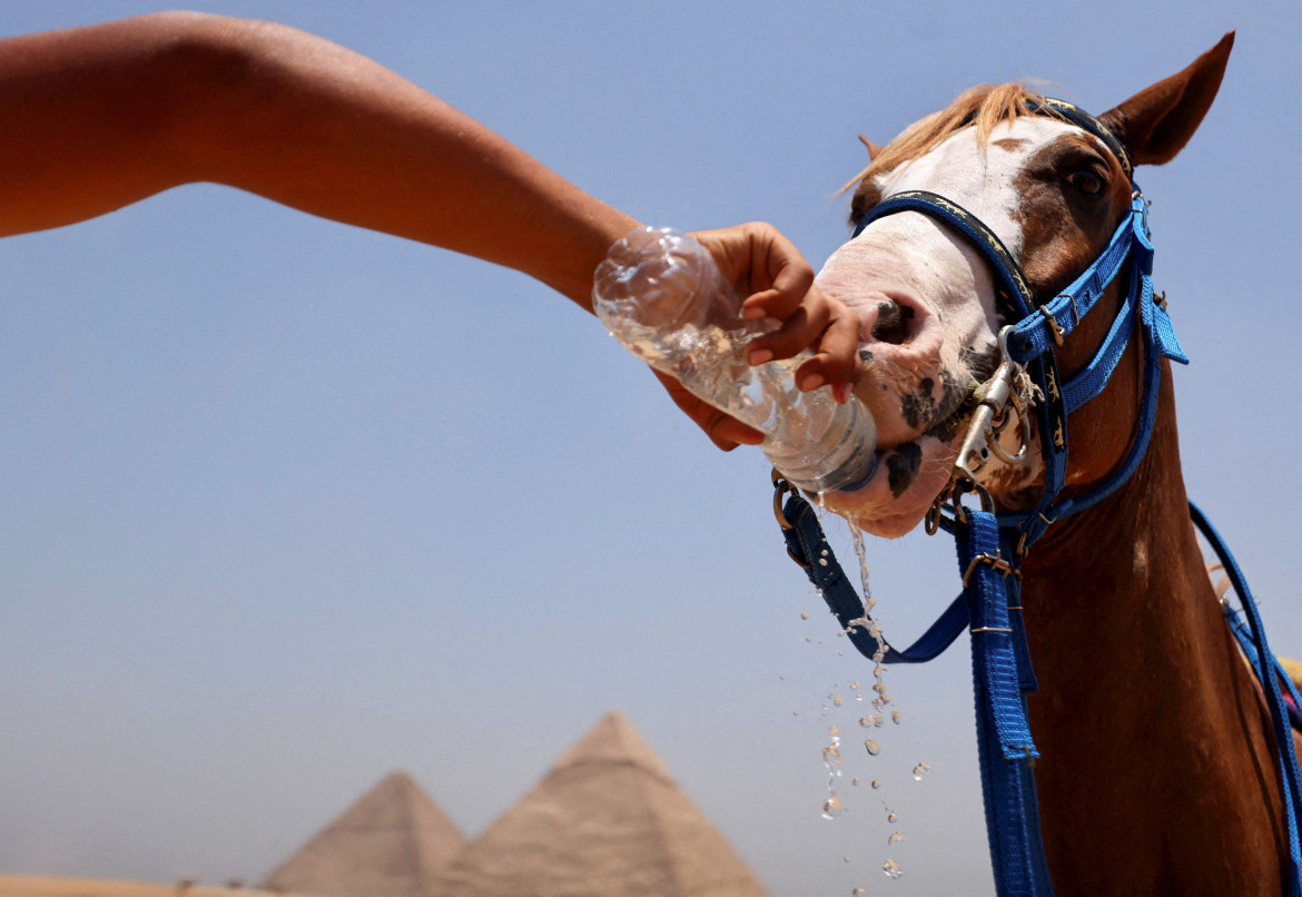 Ola de calor, verano. Foto: Reuters.