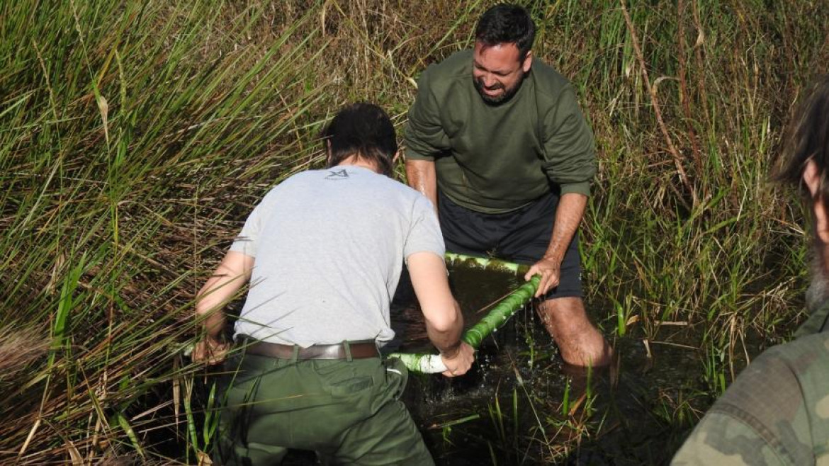 Las investigaciones se realizaron entre el 2017 y el 2019. Foto: Telam