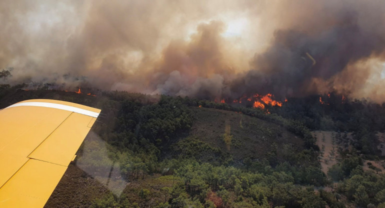 Un avión sufrió un accidente en medio de los incendios de Grecia. Foto: Reuters.