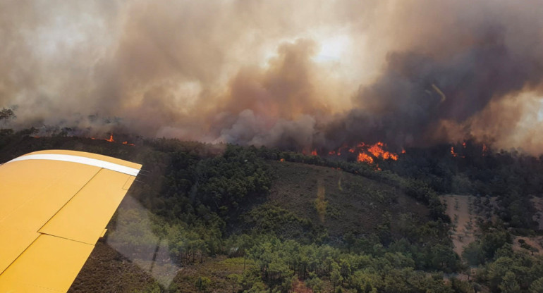 Un avión sufrió un accidente en medio de los incendios de Grecia. Foto: Reuters.