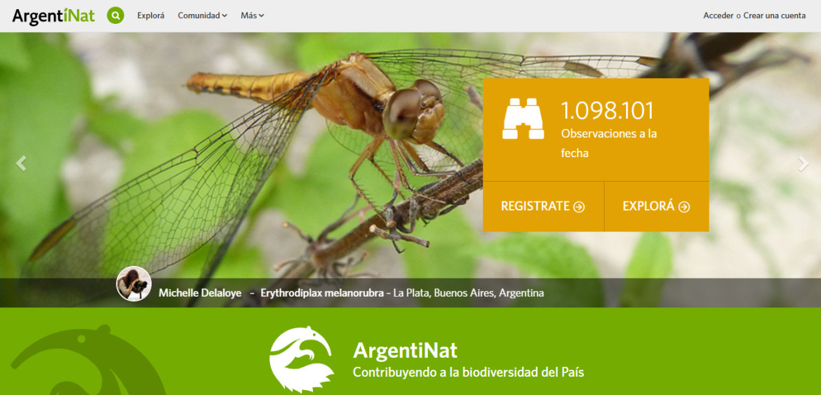 Proyecto ArgentiNat. Foto: Web.