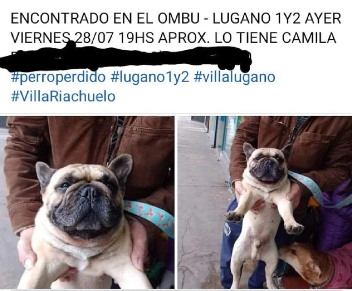 La publicación del perro perdido. Foto: NA.