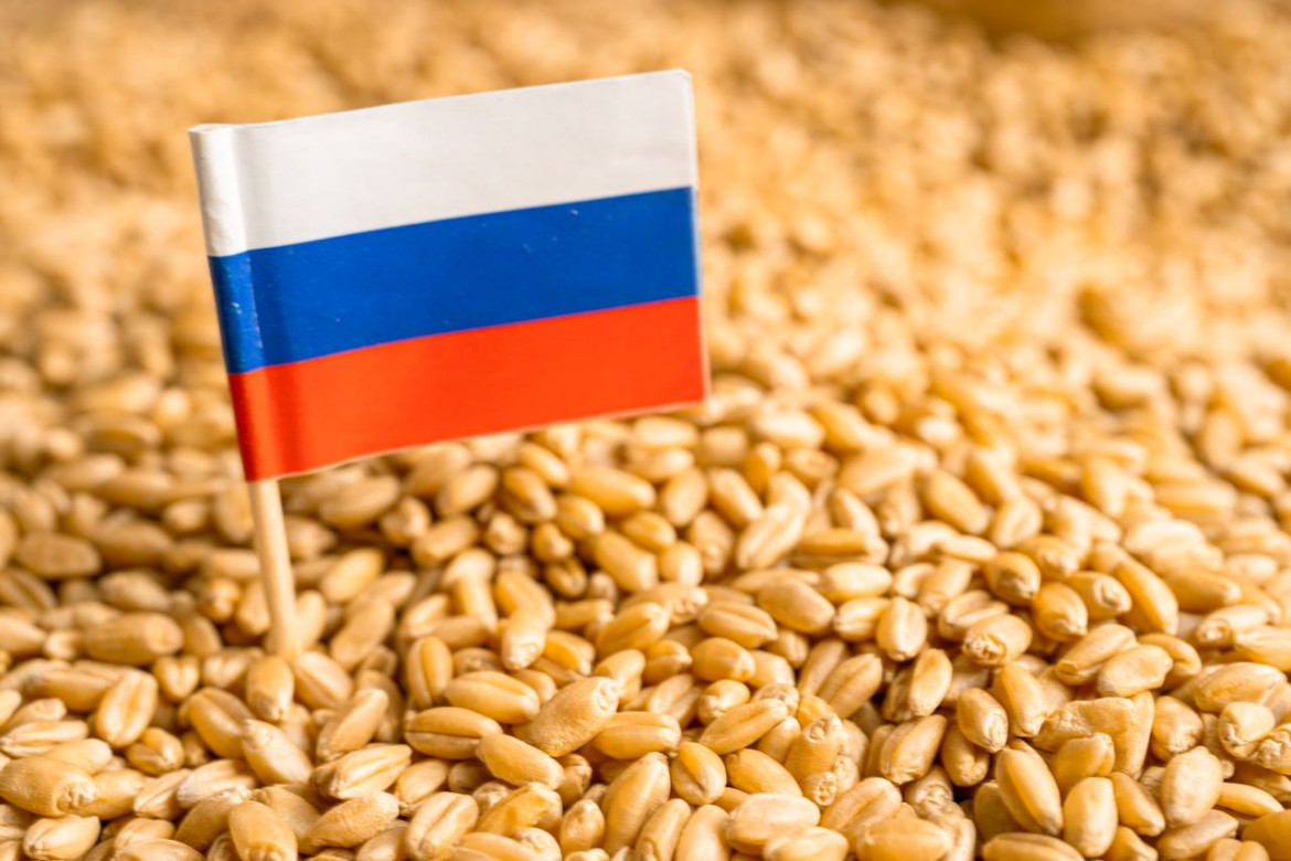 Acuerdo de cereales, Rusia y Ucrania. Foto: EFE