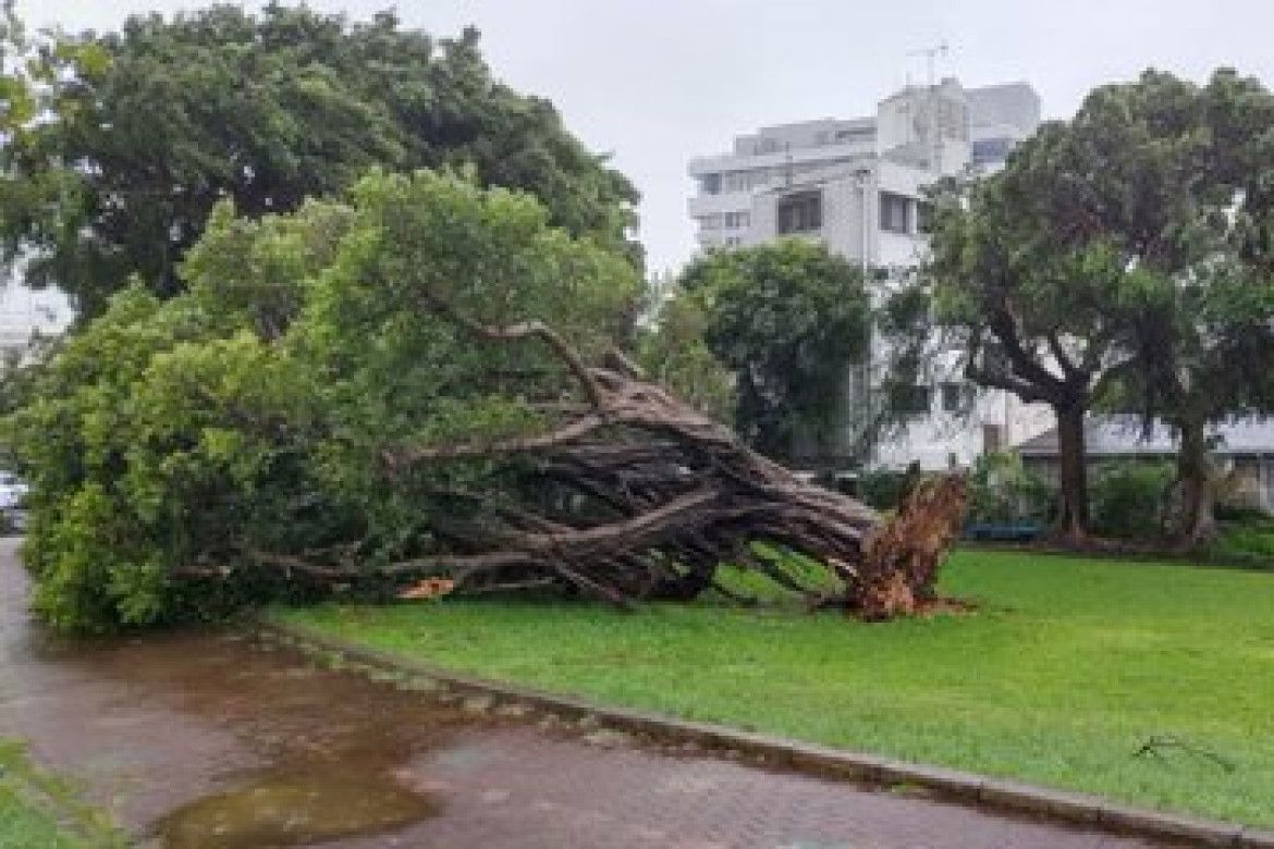 Daños a causa de los fuertes vientos provocados por el tifón Khanun. Foto: Twitter/@cgtnenespanol