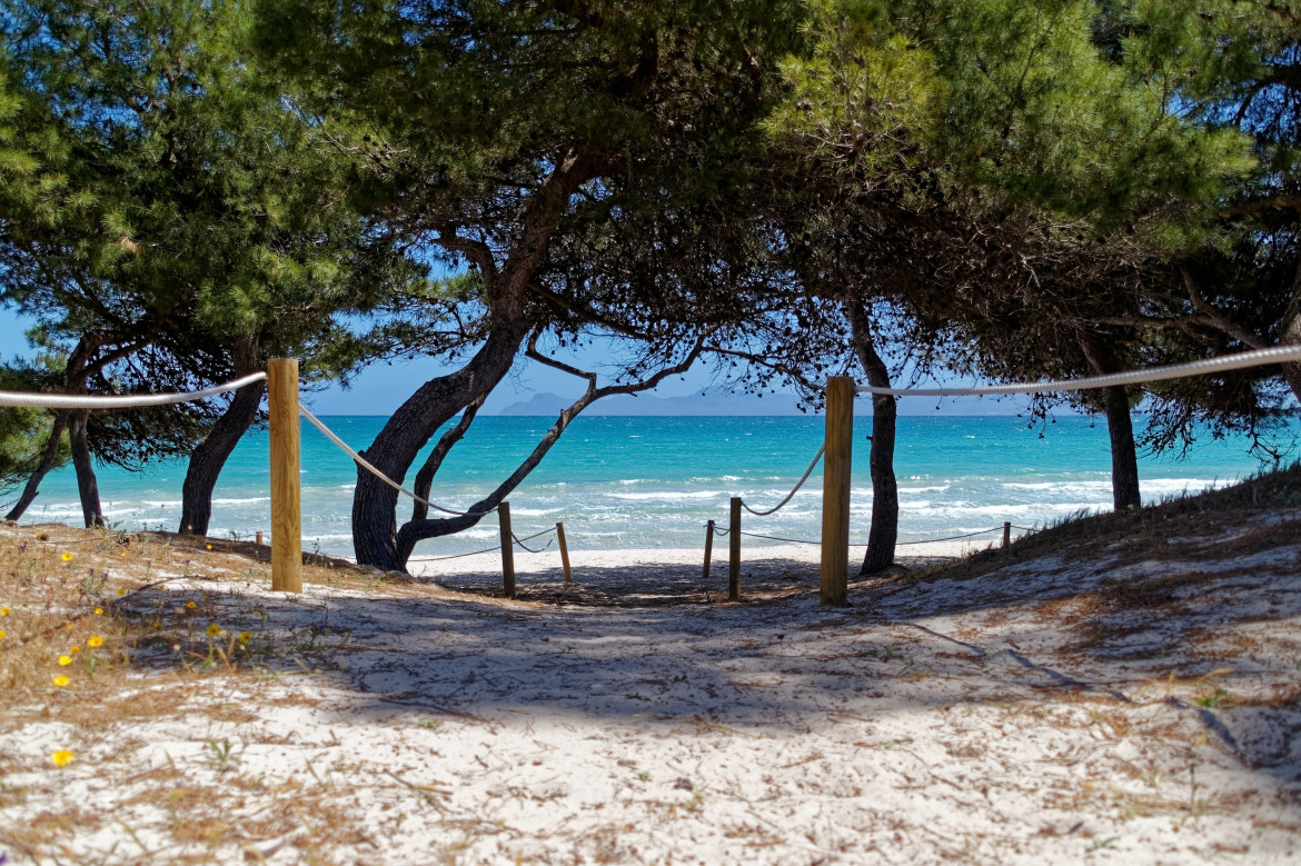 Sol, arena y naturaleza en Mallorca. Foto: Unsplash