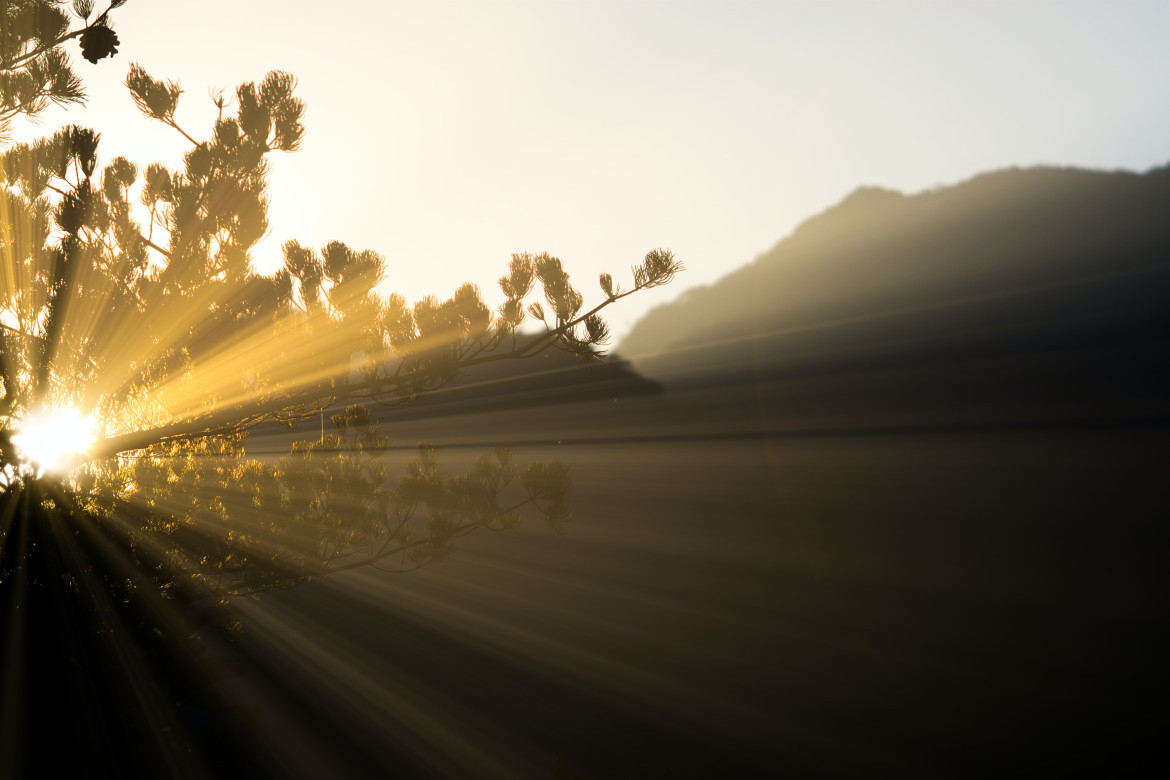 El agosto más cálido en 117 años. Foto: Unsplash