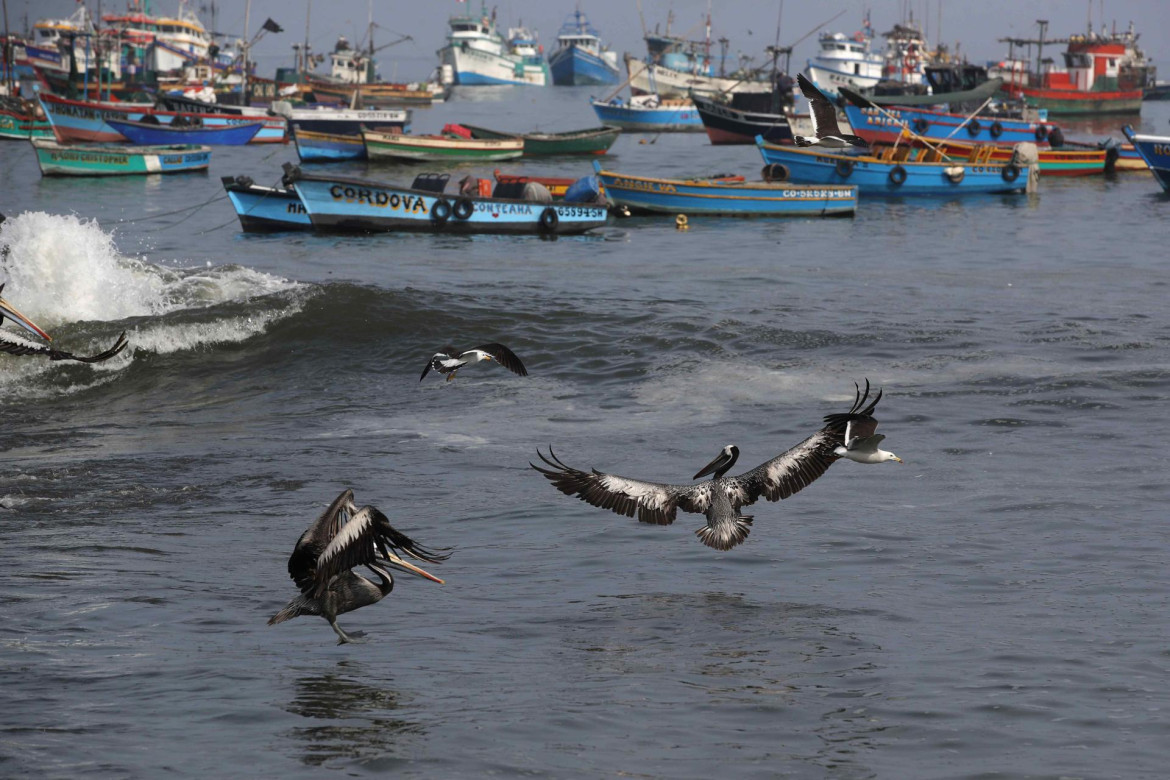 Derrame de hidrocarburos, Perú. Foto: EFE