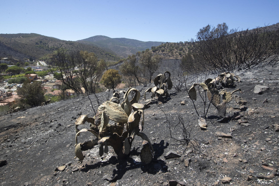 Incendio en Portbou. Foto: EFE.