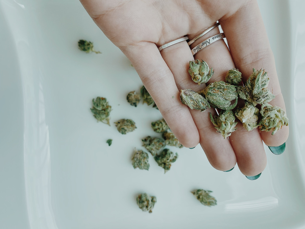 Cannabis medicinal. Foto: Unsplash
