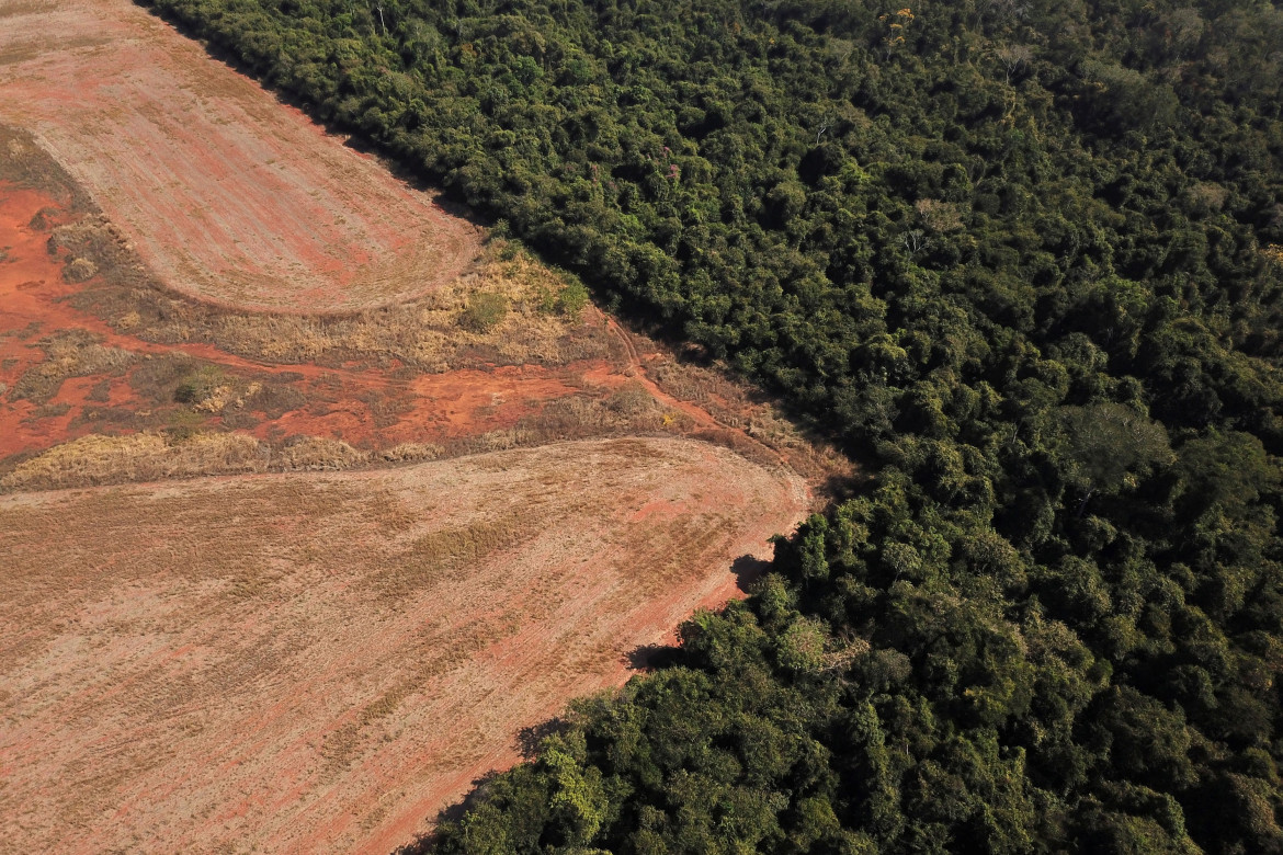 Deforestación en Amazonia. Foto: NA.