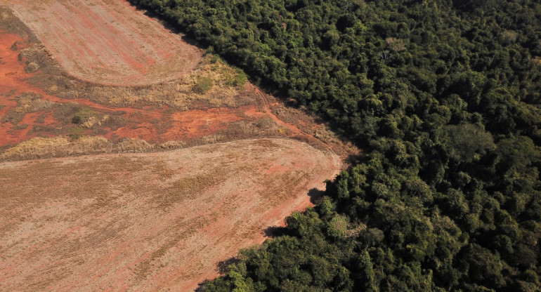 Deforestación en Amazonia. Foto: NA.