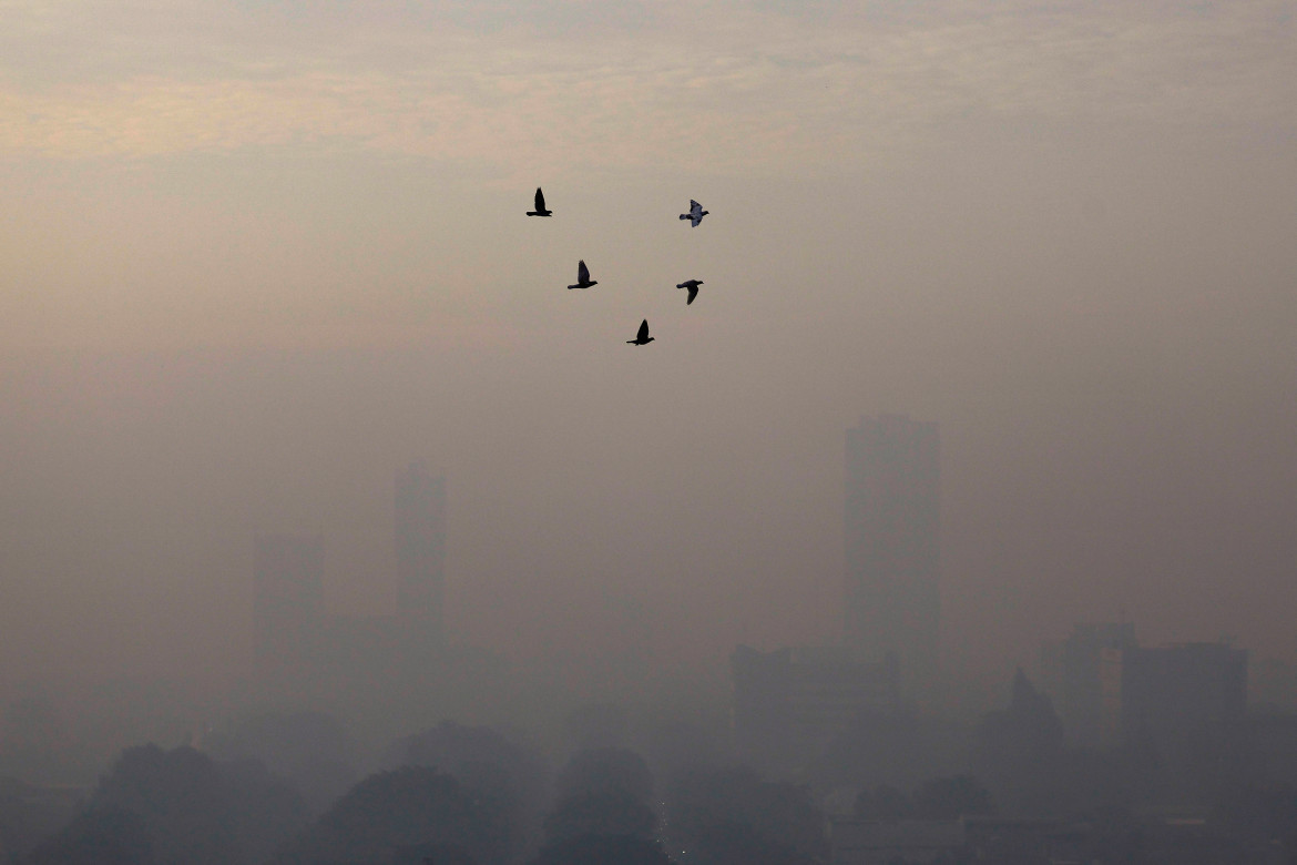 Pájaros vuelan en una mañana con humo en Yakarta, Indonesia. Foto: Reuters.