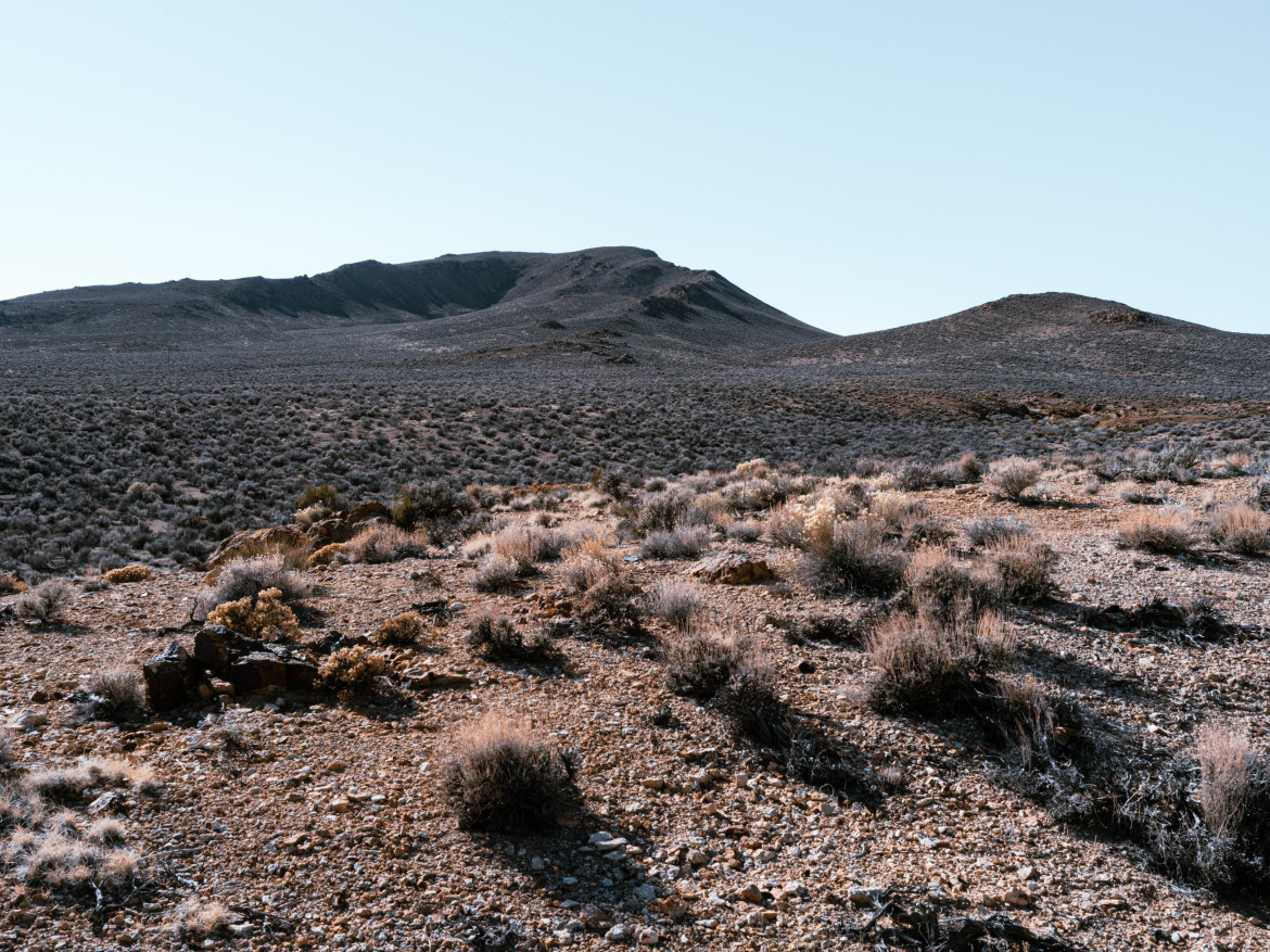 Desertificación. Foto: Unsplash