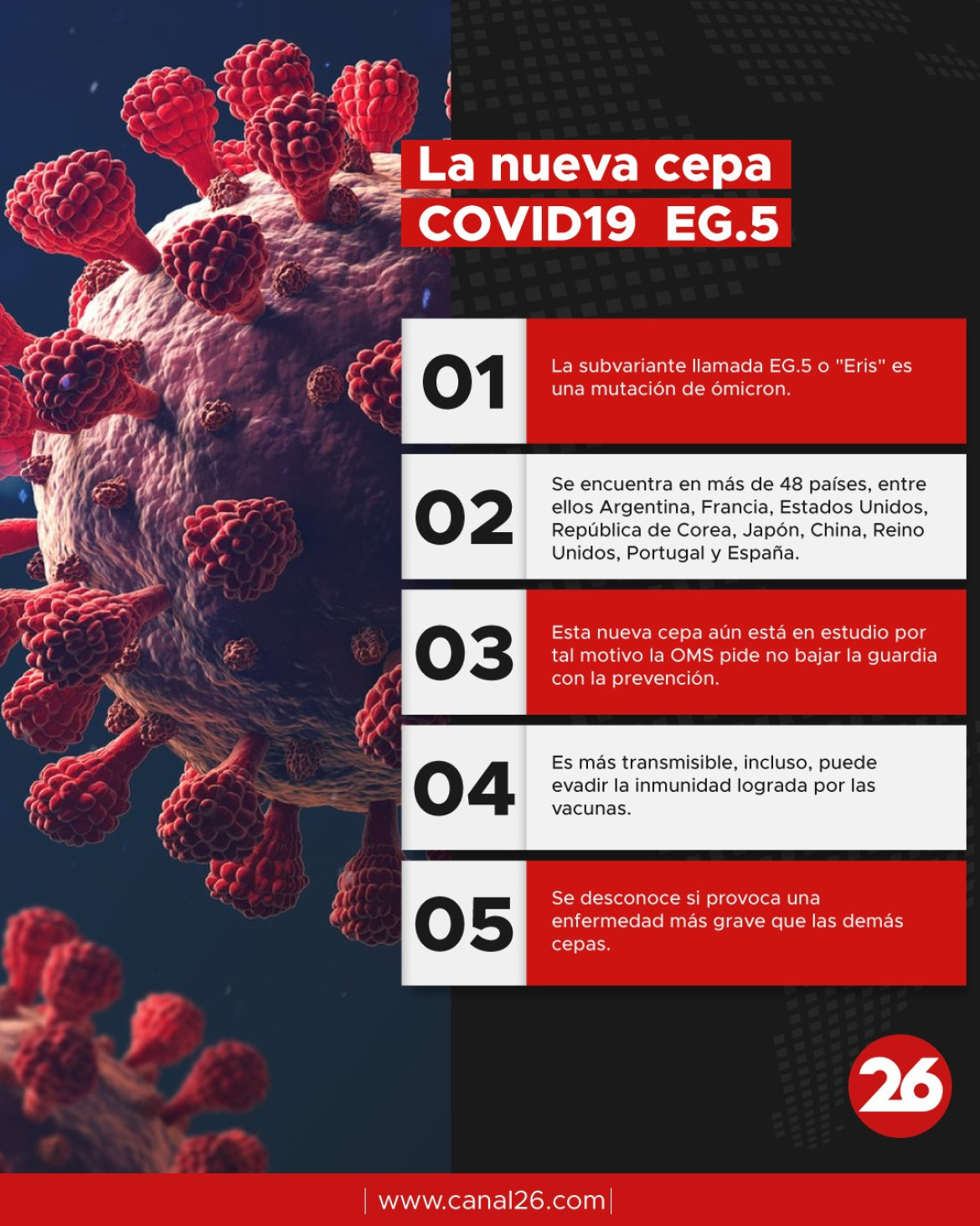 Información sobre la nueva cepa de Coronavirus. Foto: Canal 26.