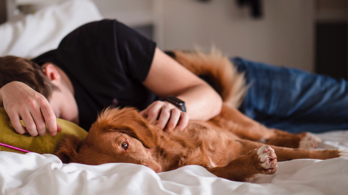 Dormir con nuestras mascotas puede afectar a nuestra salud. Foto: Unsplash.