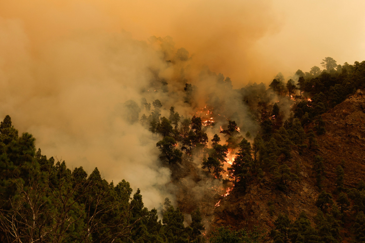 Incendios en Tenerife. Foto: Reuters.