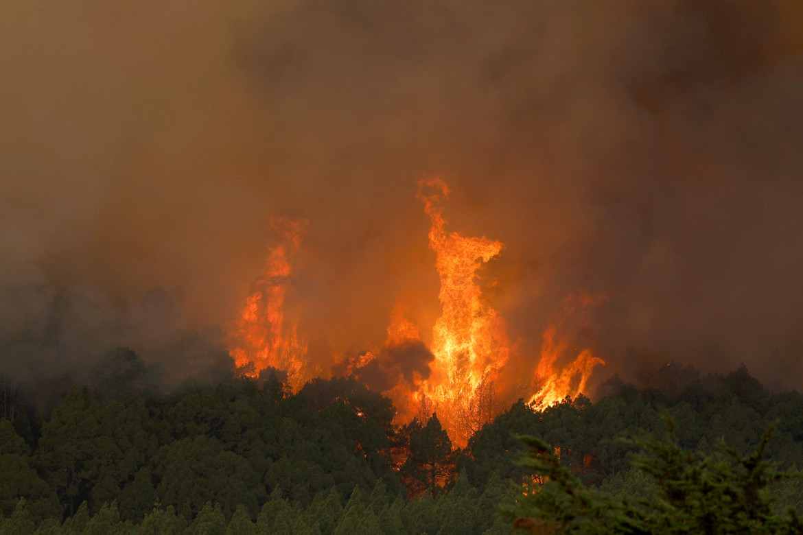 Incendios en Tenerife. Foto: Reuters.