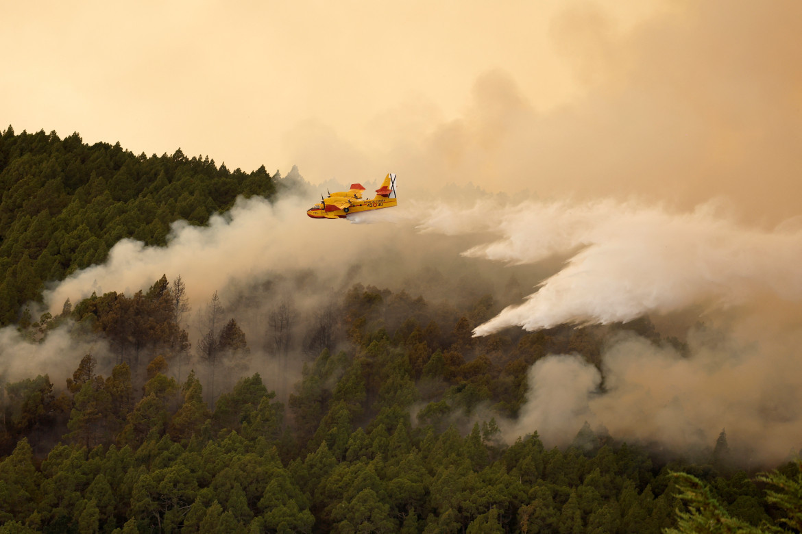 Incendios en Tenerife. Foto: Reuters.