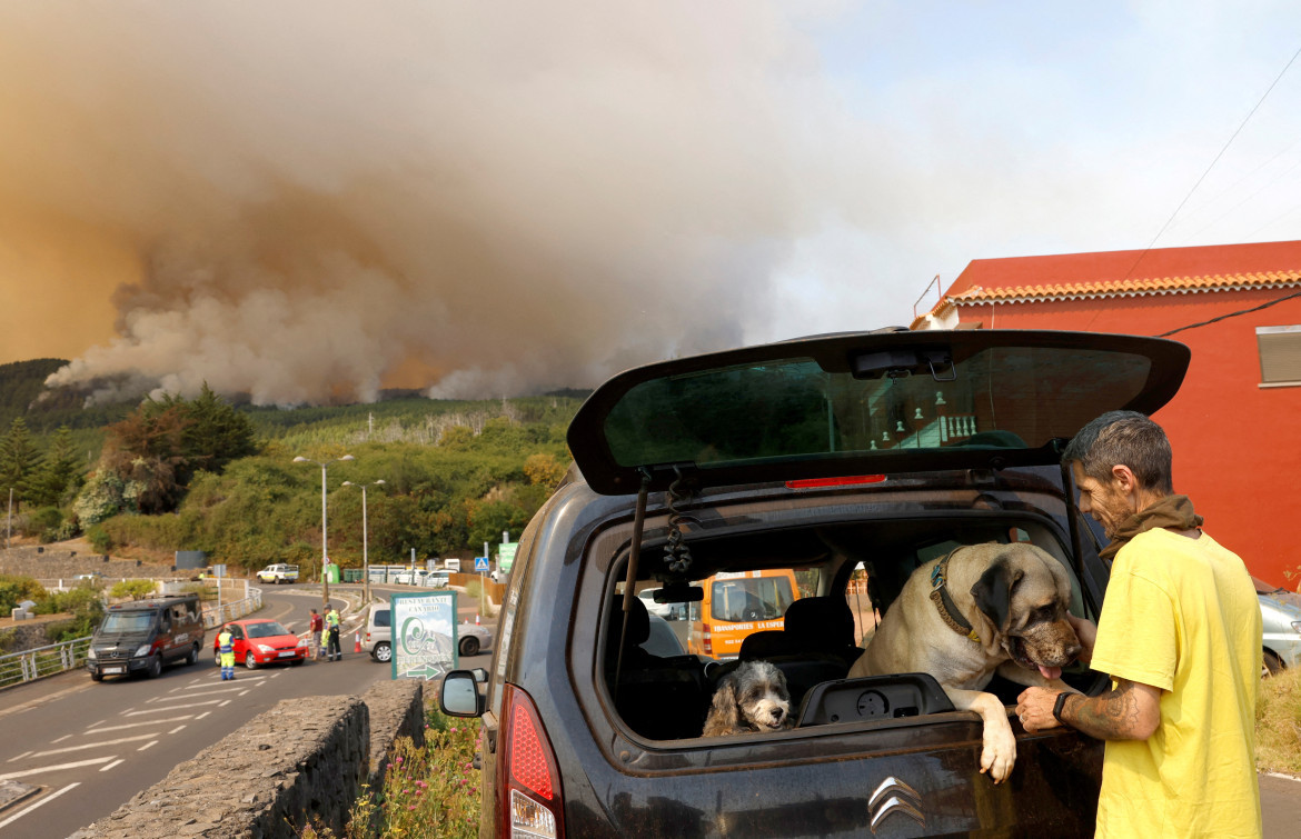 Incendios en Tenerife. Foto: Reuters.