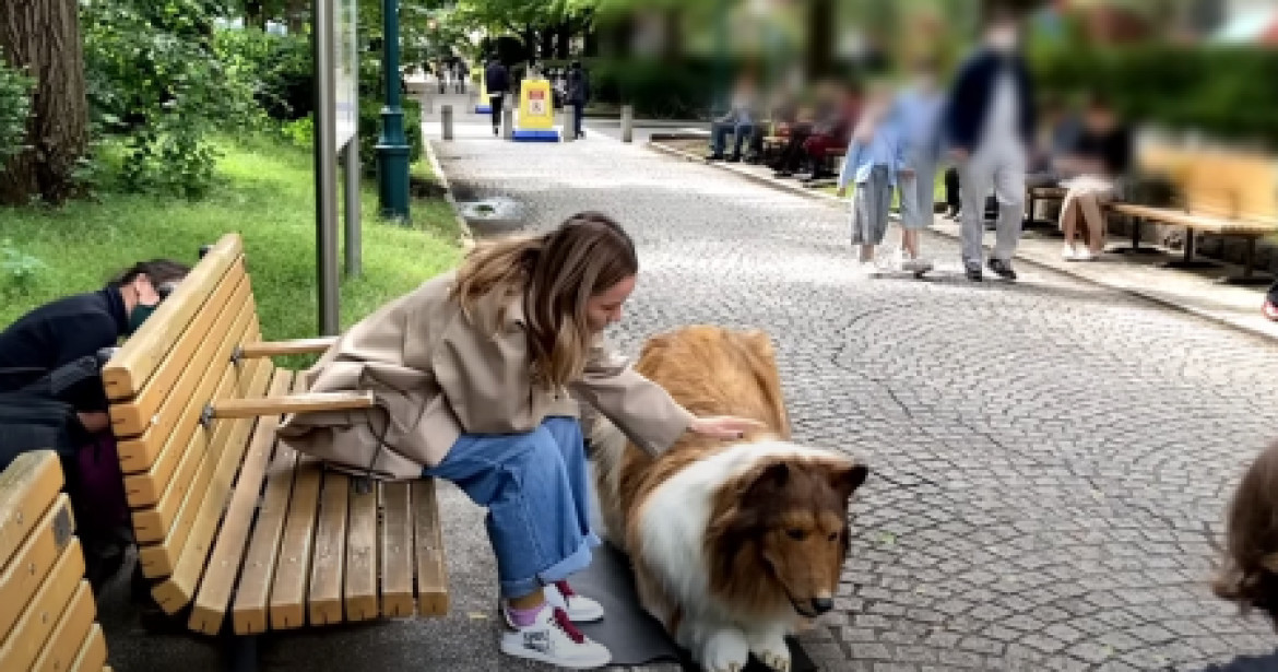 Así es como encaja el hombre perro en su disfraz de 13 mil dólares. Captura de video.