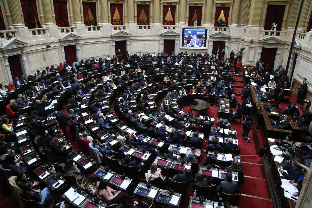 Diputados dio media sanción a una reforma de la ley de alquileres. Foto: NA.