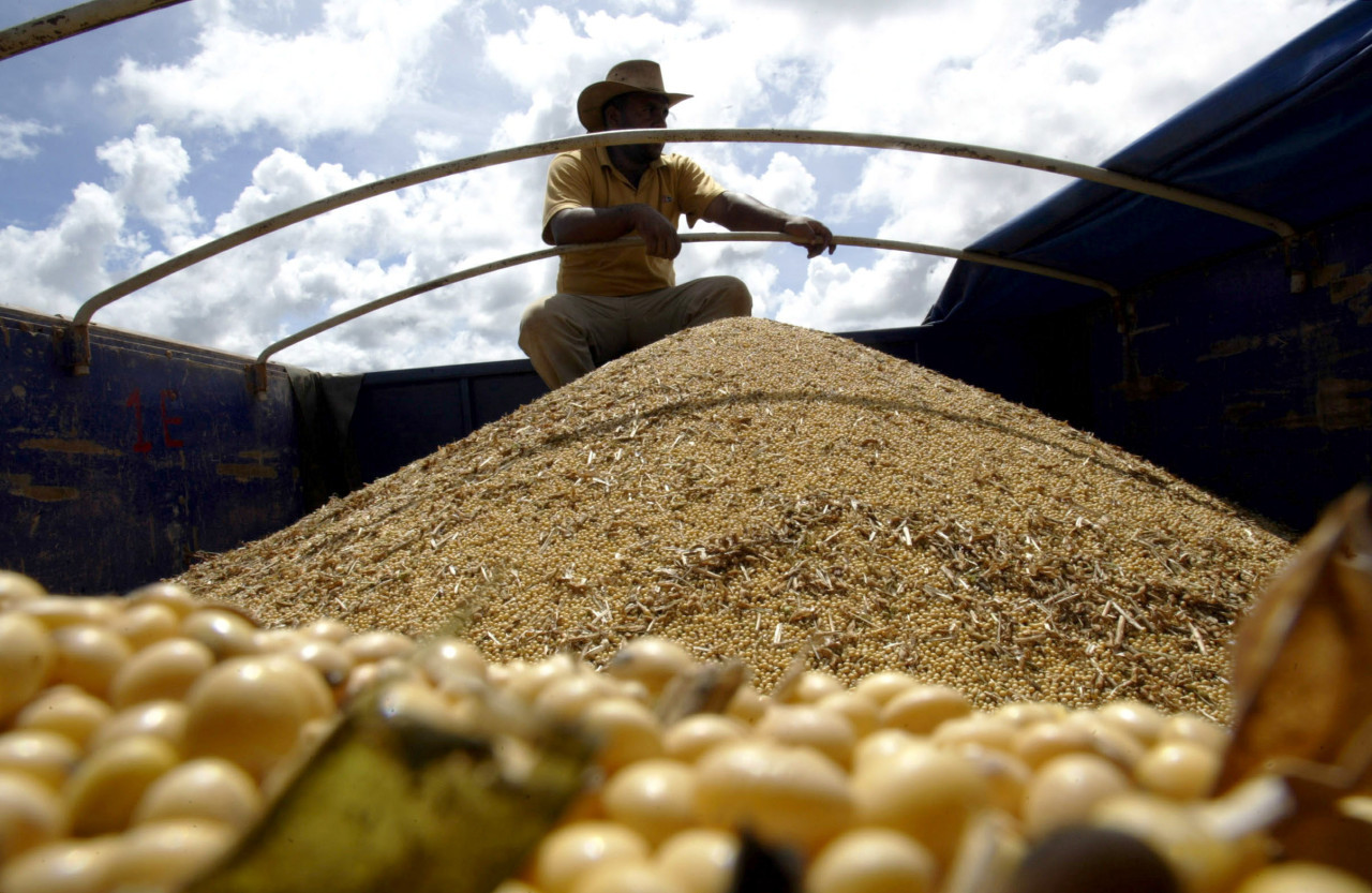 Soja. Foto: REUTERS.