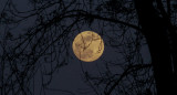 Luna. Foto: Unsplash