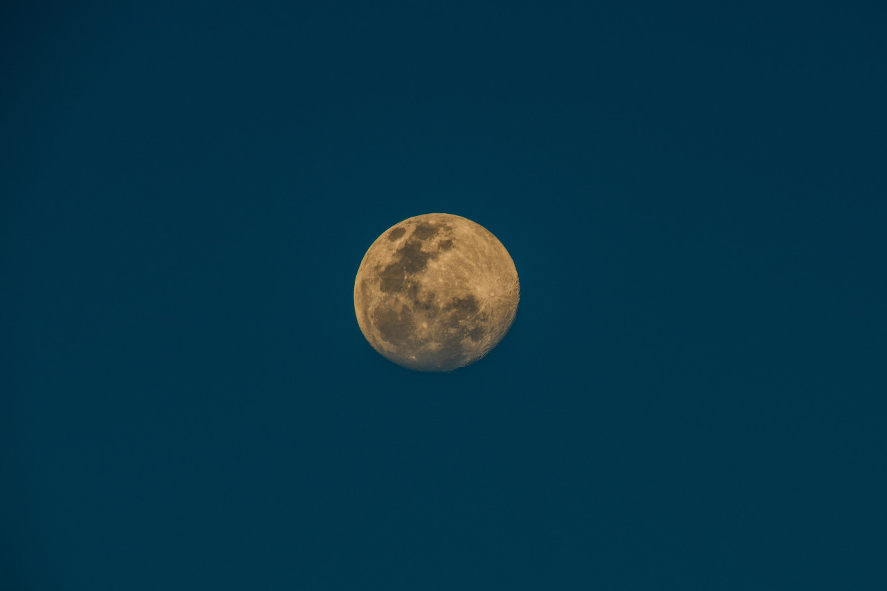 Luna. Foto: Unsplash