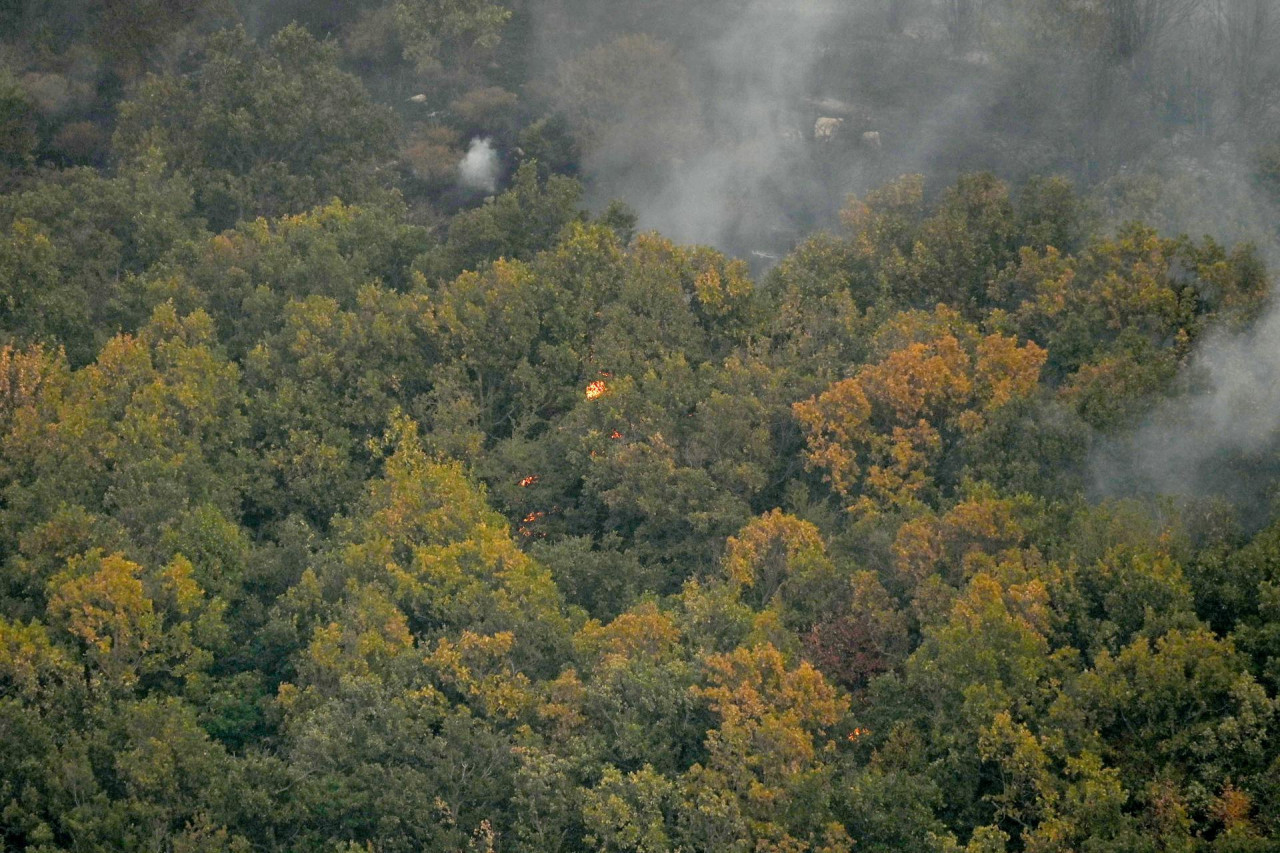 Incendios en Grecia. Foto: EFE