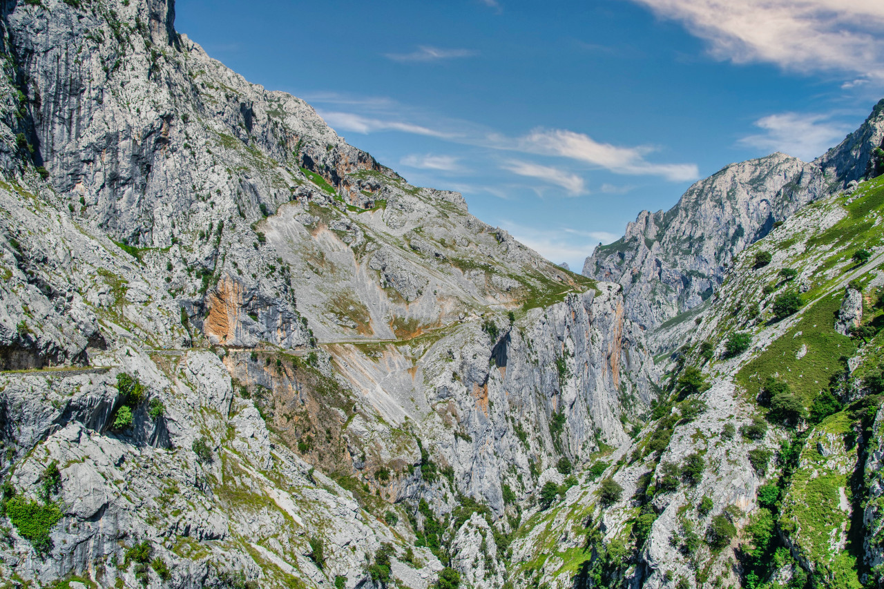 Cordillera Cantábrica el hogar de los osos pardos en España. Foto: Unsplash