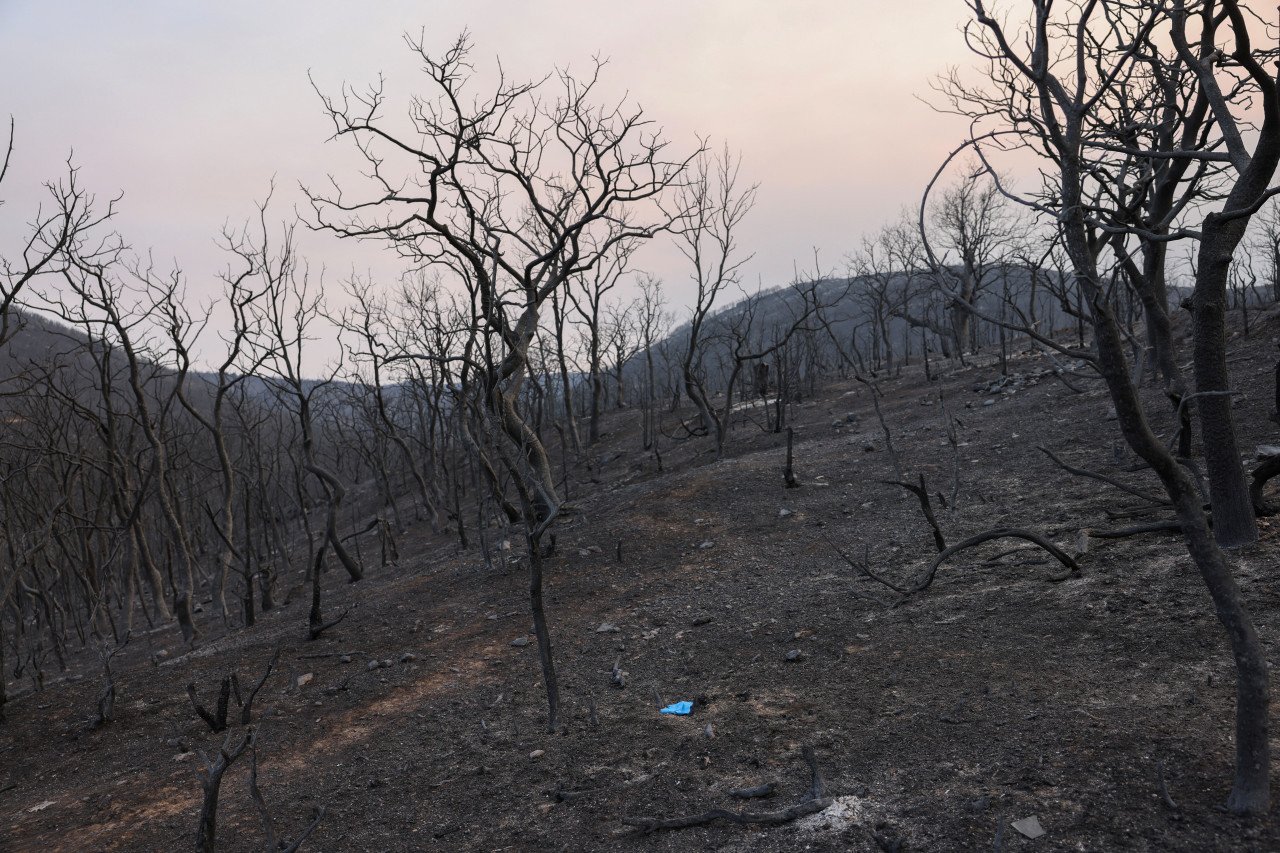 Incendio forestales en Grecia. Foto: Reuters